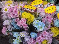 -越秀西湖花市(广州城市广场花卉店)