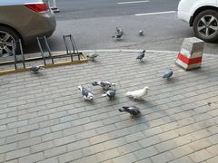 -北京大学-学五食堂