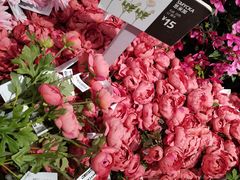 -宜家家居(哈尔滨商场店)