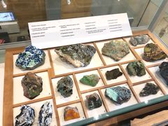 -墨尔本博物馆(Melbourne Museum)