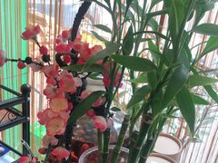 -手功王养生·足疗按摩·SPA·采耳(天府路店)