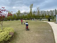 -上海长兴岛郊野公园