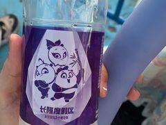 -广州长隆欢乐世界