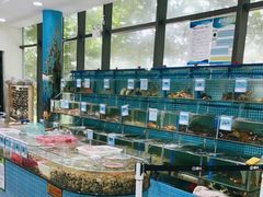 水产区-锦里海景海鲜餐厅.三亚老字号(亚龙湾中心广场店)