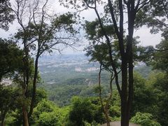 -火炉山森林公园