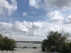 -盐城丹顶鹤湿地生态旅游区