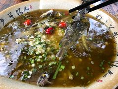 老坛酸菜黄辣丁-青城甲(青城山店)