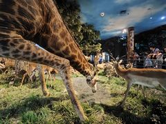 -国家自然博物馆