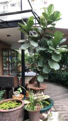 -无界瑜伽普拉提