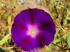 -鹫峰国家森林公园