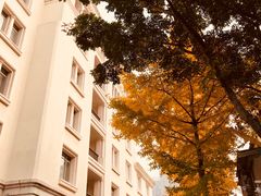 -上海汾阳花园酒店