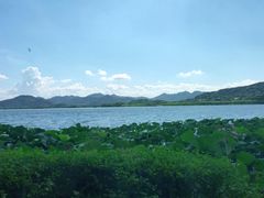 -湖畔居茶楼(湖滨店)
