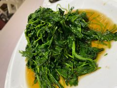 -光明邨大酒家(汇阳广场店)