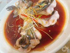 -煲来饱去冷水鱼