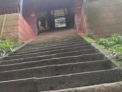 -青城山