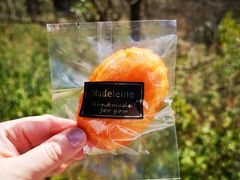 -隹木咖啡馆(宝龙广场店)