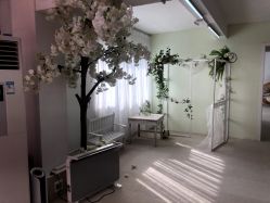-男孩女孩亲子儿童摄影(真实客照店)