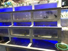 水产区-百年银屏蚝烙·潮汕菜·非遗(乐山店)