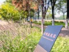 -汉长安城未央宫国家考古遗址公园