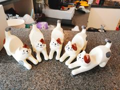 -瞄一喵猫咖(格力海岸店)