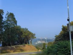 -黄埔油麻山森林公园