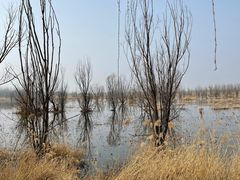 -野鸭湖国家湿地公园