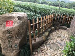 -中国茶叶博物馆(双峰馆区)