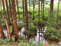 -东湖落雁景区