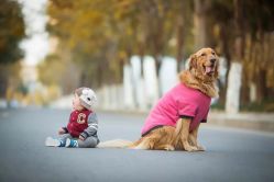 点击看大图 -Happy Baby Studio快乐宝贝儿童摄影