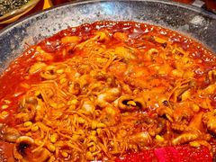 -红辣椒八爪鱼特色韩国料理专门店(远景路旗舰店)