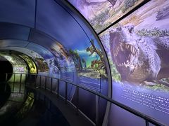 -房山世界地质公园博物馆