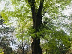 -宝鸡植物园