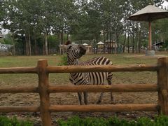 -大连森林动物园