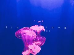 -华夏文旅西安度假区