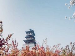 -古柏渡飞黄旅游区