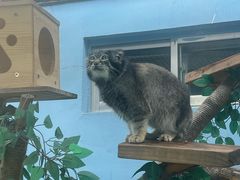 -青藏高原野生动物园