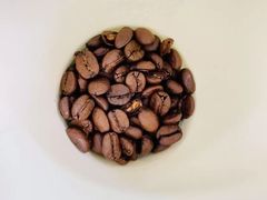 -蓝莓果幼儿园(通州梨园店)