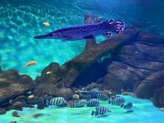 -常州海昌海洋探索馆
