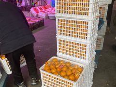 -双福水果批发市场