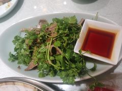 -王厚元饺子·辽菜(浑南店)
