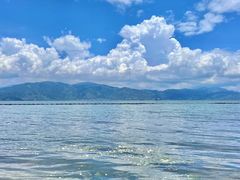 -呈贡滇池生态湿地公园