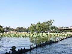-济南大明湖景区
