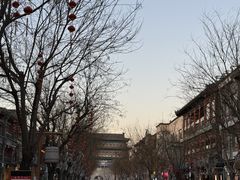 -紫光园·烤鸭·北京菜(团结湖店)