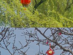 -安徽八里河旅游区