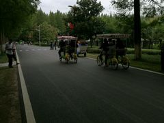 -黄海国家森林公园