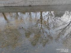 -元大都城垣遗址公园