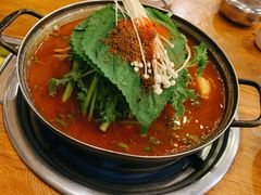 土豆排骨火锅-喇喇排骨火锅·传统韩式脊骨汤(望京西园总店)