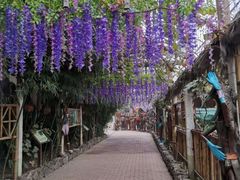 -呀路古热带植物园