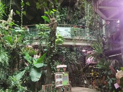 -正佳雨林生态植物园