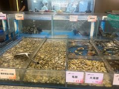-船歌·鱼水饺青岛菜(闽江二路店)